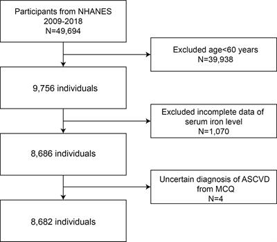 Association between serum iron levels and atherosclerotic cardiovascular diseases among American older adults: a cross-sectional study based on the National Health and Nutrition Examination Survey, 2009–2018